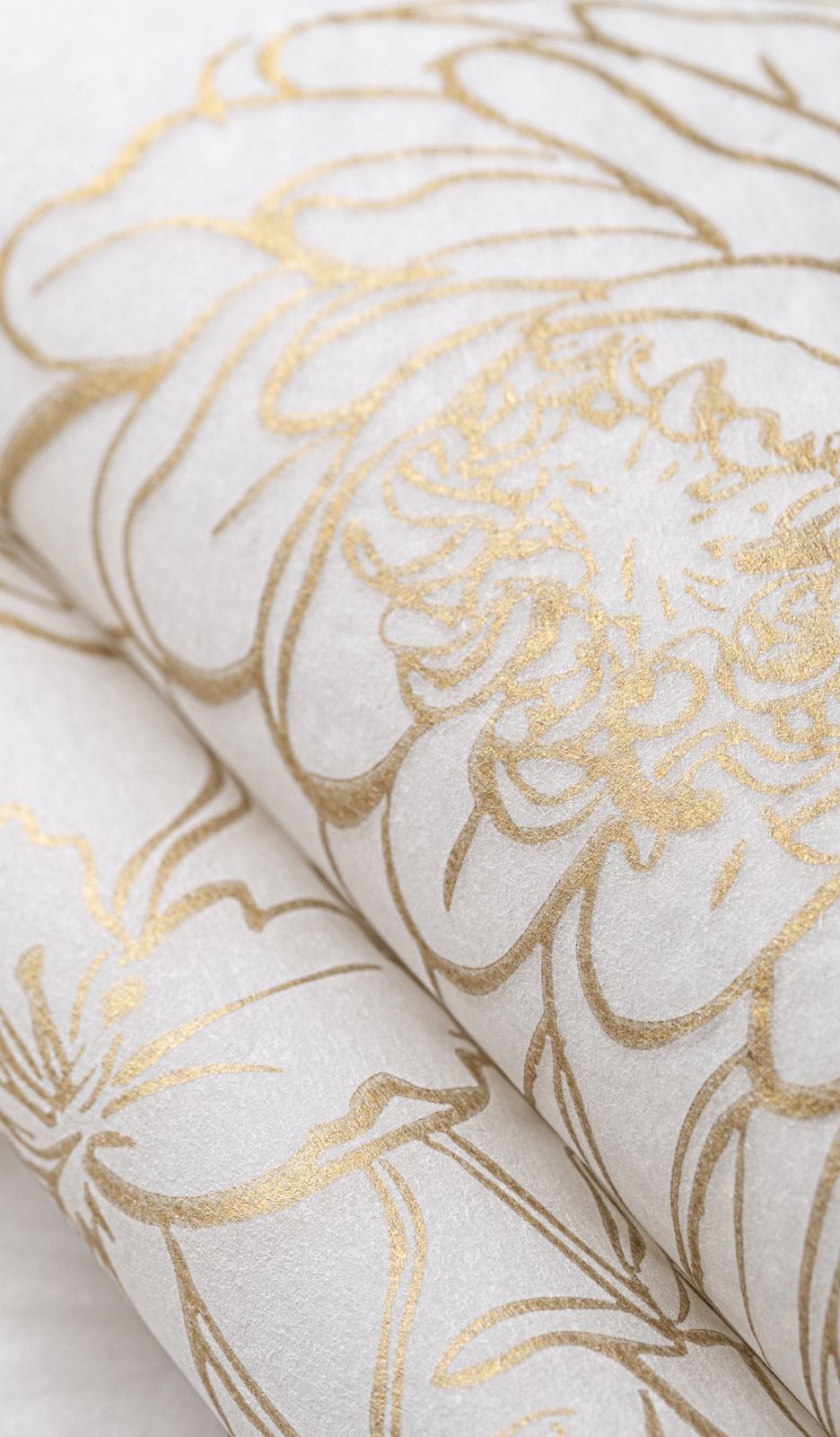 ISEM-INSIDE-IMAGE down-1-936X1600.jpg